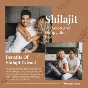 Shilajit for good and happy life