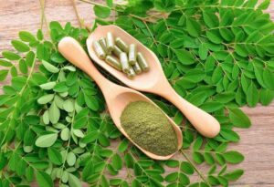 6 Benefits of Moringa for immune system 2 Benefits of moringa